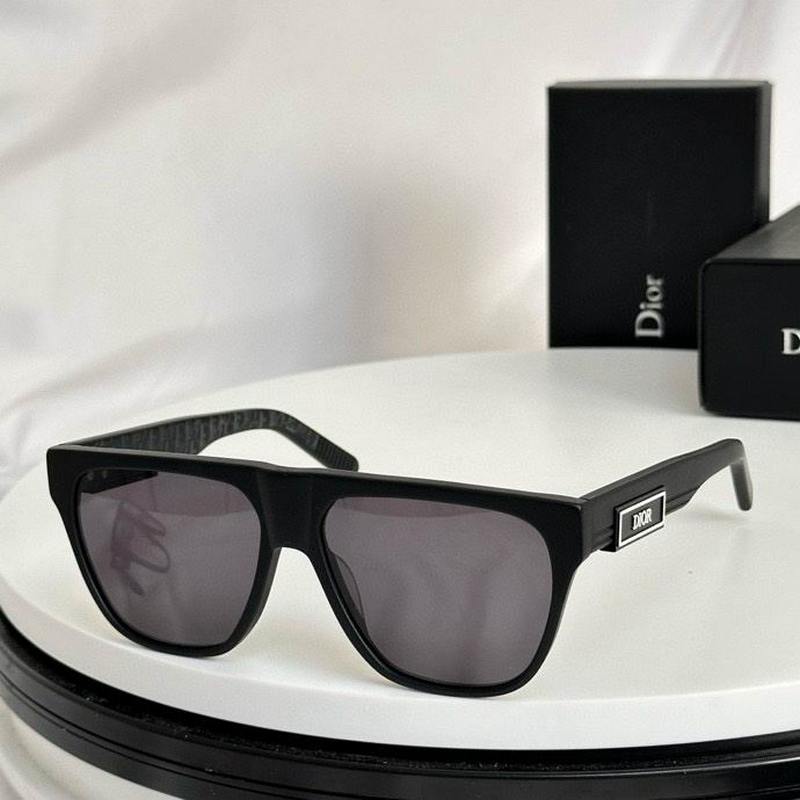 DIOR Sunglasses 488